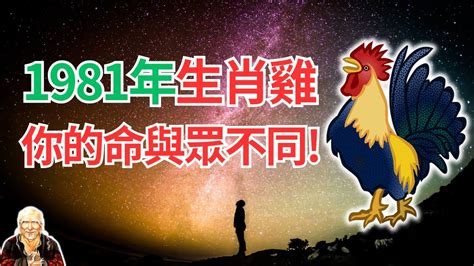 1981屬雞一生運|1981年屬雞運勢及運程 生肖雞1981年一生運勢